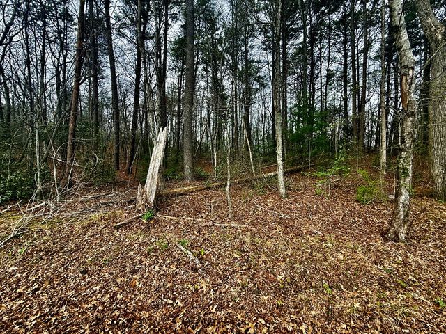 0 Nicholson Circle, Turtletown, TN 37391