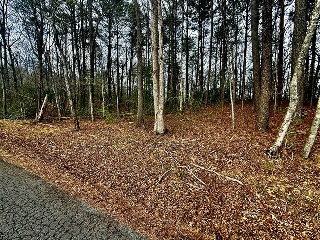 0 Nicholson Circle, Turtletown, TN 37391