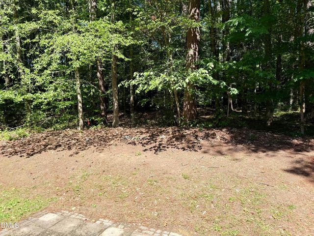 28 Willow Bridge Drive, Durham, NC 27707