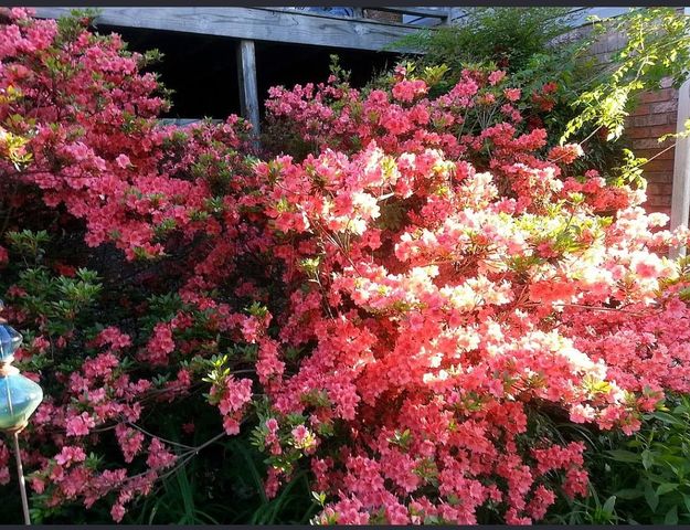 491 Hillview Dr, Lawrenceburg, TN 38464