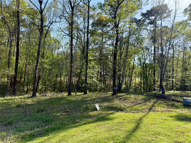 TBD Leaning Oak Drive, Point Blank, TX 77364