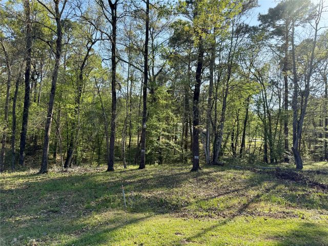 TBD Leaning Oak Drive, Point Blank, TX 77364