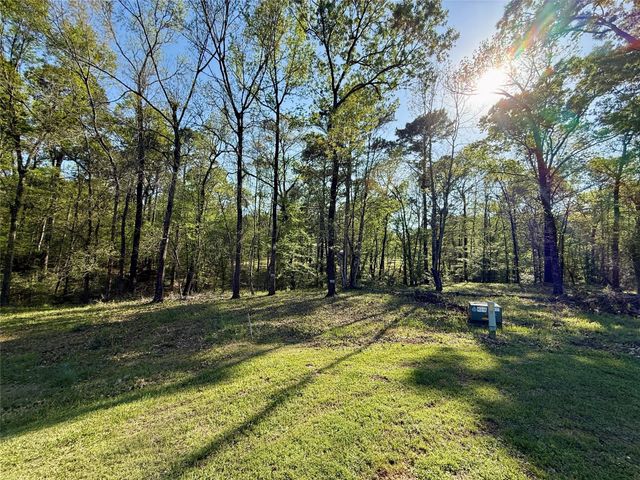 TBD Leaning Oak Drive, Point Blank, TX 77364