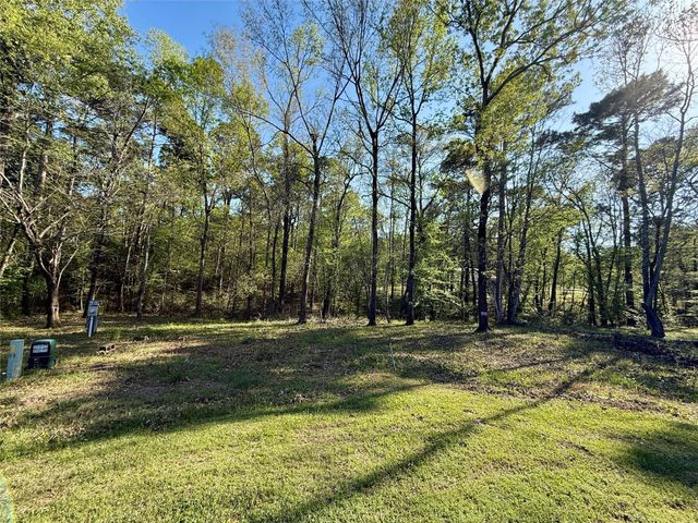 TBD Leaning Oak Drive, Point Blank, TX 77364