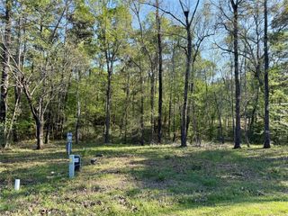 TBD Leaning Oak Drive, Point Blank, TX 77364