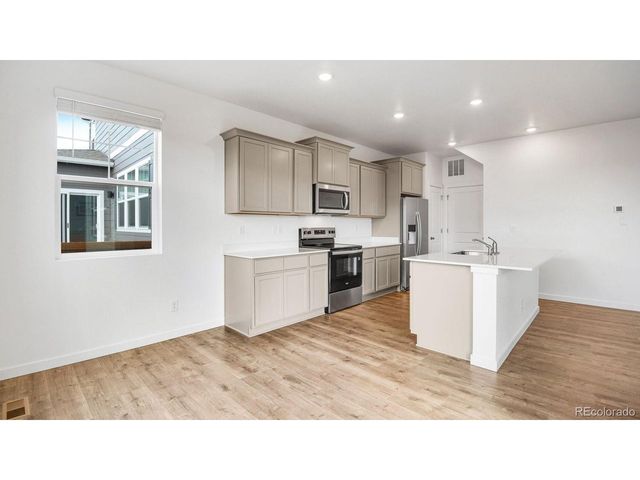 395 N Allium St, Watkins, CO 80137
