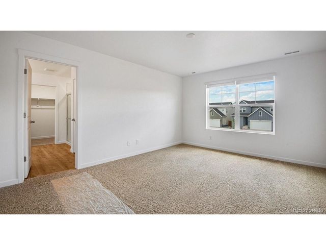 395 N Allium St, Watkins, CO 80137
