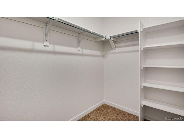 395 N Allium St, Watkins, CO 80137