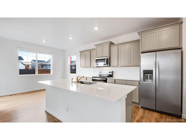 395 N Allium St, Watkins, CO 80137