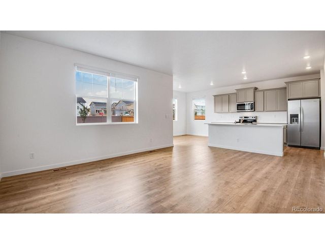 395 N Allium St, Watkins, CO 80137