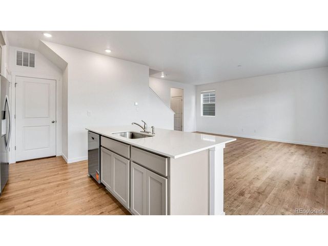 395 N Allium St, Watkins, CO 80137