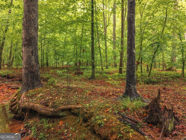 2416 Mount Vernon Road, Lithia Springs, GA 30122