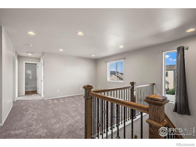 5512 Bexley Drive, Windsor, CO 80550