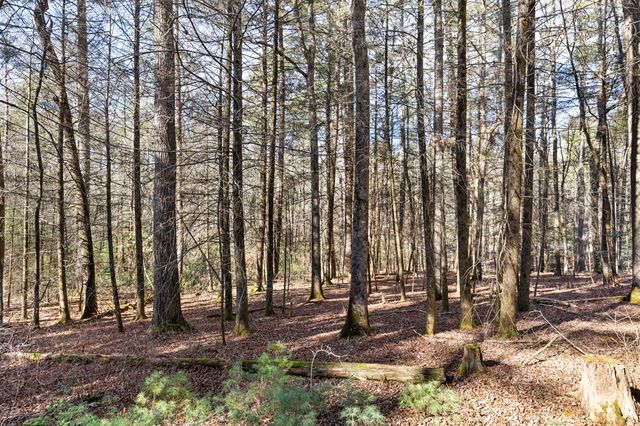 104 Big Tree Road, Suches, GA 30572