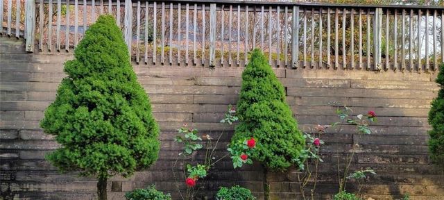 314 Stone Valley Crossing, Canton, GA 30114