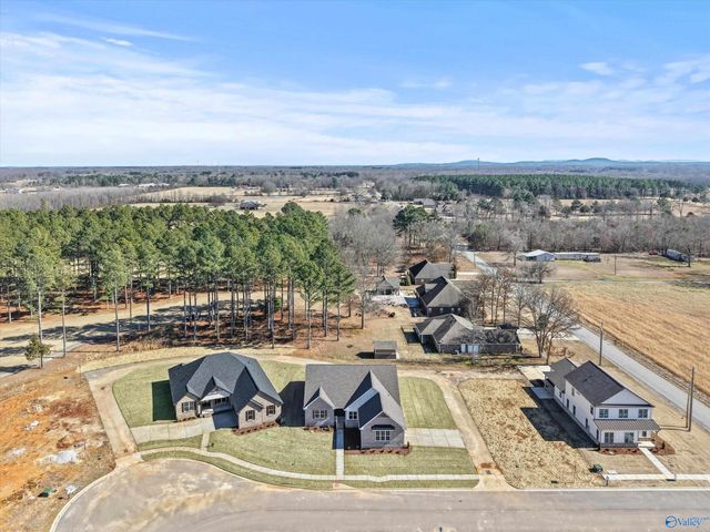 22040 Mulligan Parkway, Athens, AL 35613