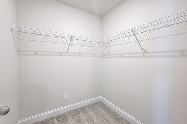 1772 Flora Grove, Hermitage, TN 37076