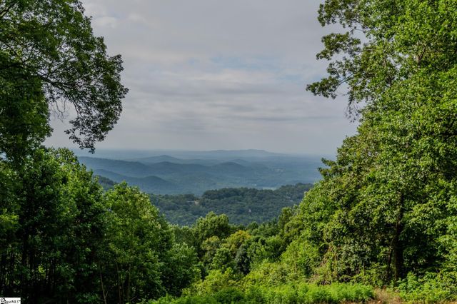 42 Wild Magnolia Way, Zirconia, NC 28790