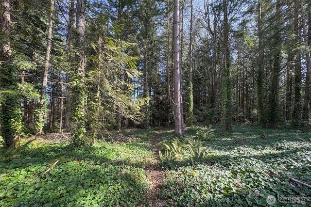 576 Blyn Springs Road, Sequim, WA 98382