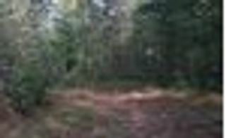 00 Hwy 515, Talking Rock, GA 30175