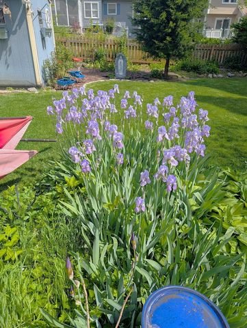 1932 Banks Drive, Elgin, IL 60123