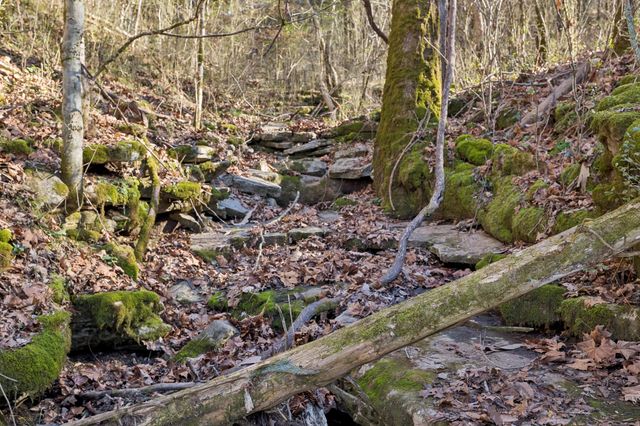 215 Hickman Creek Road S, Hickman, TN 38567