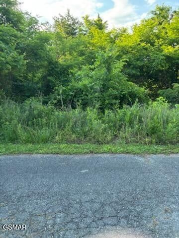 52 Mary Alice Way, Sevierville, TN 37876