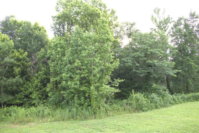 113 Outlook Drive, Owingsville, KY 40360
