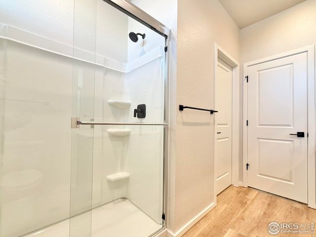 1804 Iron Wheel Dr 3, Windsor, CO 80550