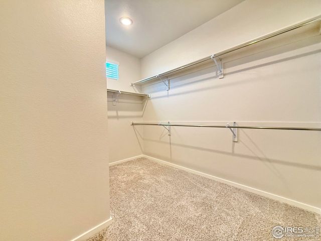 1804 Iron Wheel Dr 3, Windsor, CO 80550