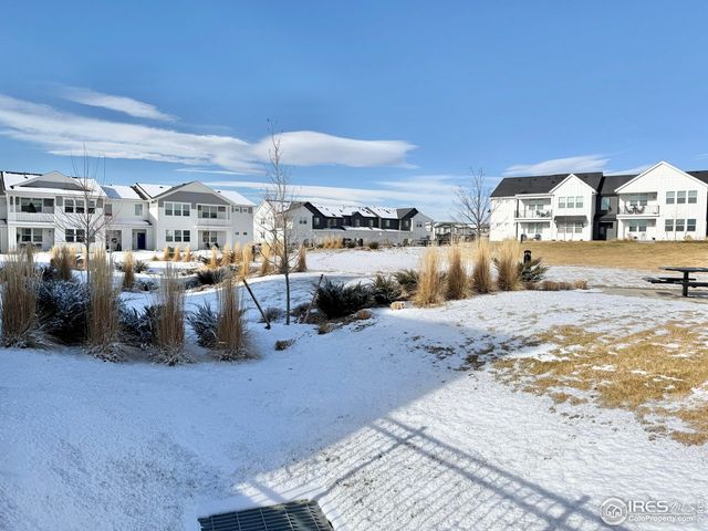 1804 Iron Wheel Dr 3, Windsor, CO 80550