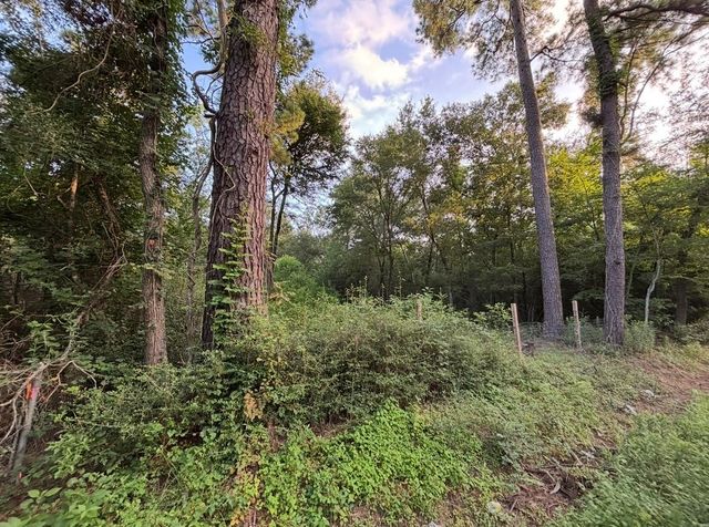 0 Guinn Avenue, Houston, TX 77044