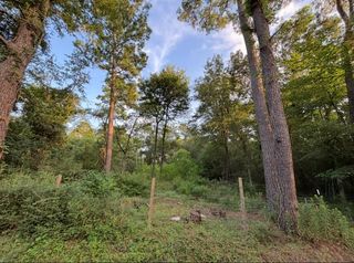 0 Guinn Avenue, Houston, TX 77044