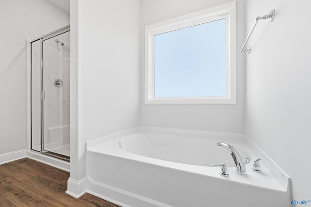 159 Ivy Vine Drive, Toney, AL 35773