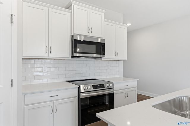 159 Ivy Vine Drive, Toney, AL 35773