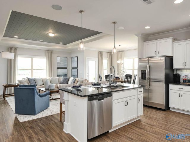 159 Ivy Vine Drive, Toney, AL 35773