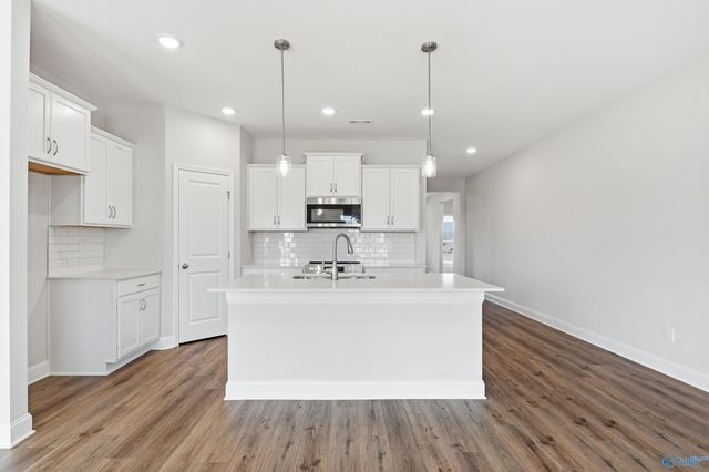 159 Ivy Vine Drive, Toney, AL 35773