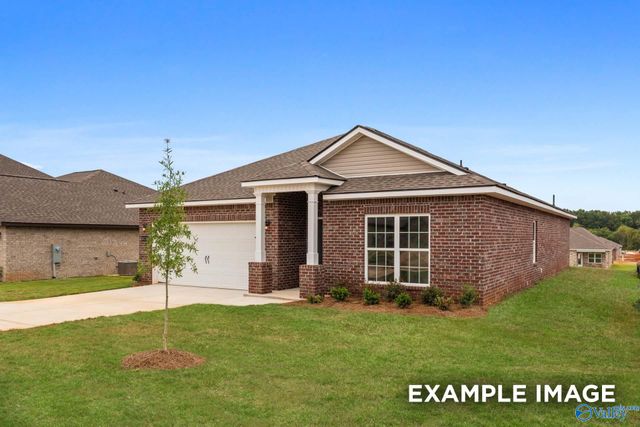 159 Ivy Vine Drive, Toney, AL 35773