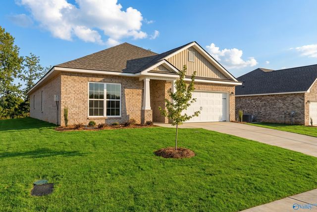 159 Ivy Vine Drive, Toney, AL 35773