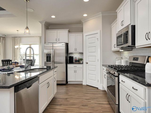 159 Ivy Vine Drive, Toney, AL 35773