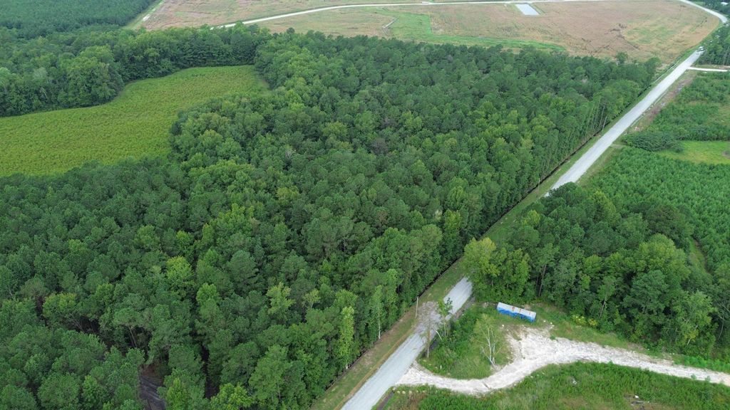 LOT 4 Fries Bay Rd., Loris, SC 29569 — photo 3