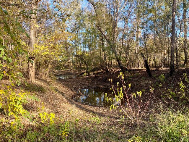 TBD State Highway 94, Lufkin, TX 75904