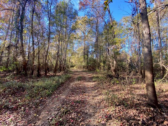 TBD State Highway 94, Lufkin, TX 75904