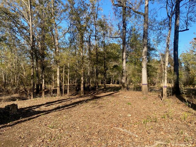 TBD State Highway 94, Lufkin, TX 75904