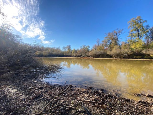 TBD State Highway 94, Lufkin, TX 75904