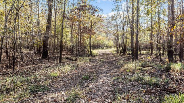 TBD State Highway 94, Lufkin, TX 75904