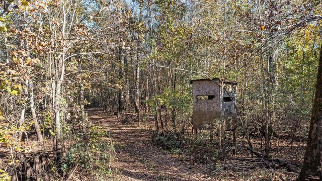 TBD State Highway 94, Lufkin, TX 75904