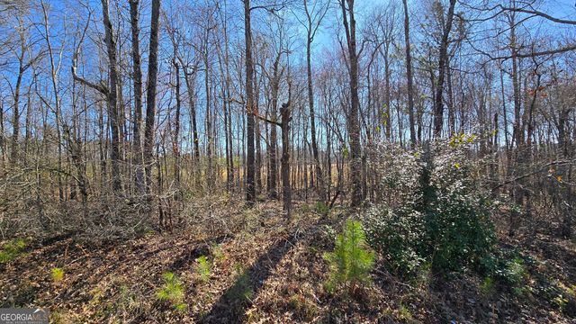 1108 Spring Creek Circle, Griffin, GA 30223