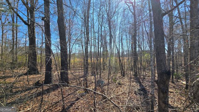 1108 Spring Creek Circle, Griffin, GA 30223