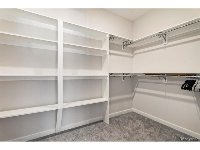 1105 Melting Snow Way, Castle Rock, CO 80109